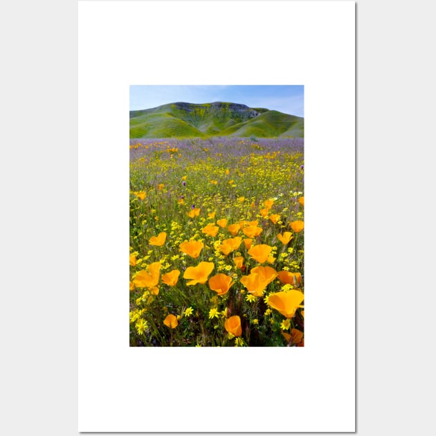 Shell Creek, California (C008/4531) Wall Art by SciencePhoto